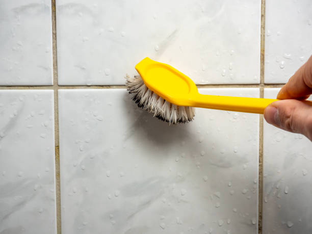 Best Best Mold Removal Companies  in Tyler, TX