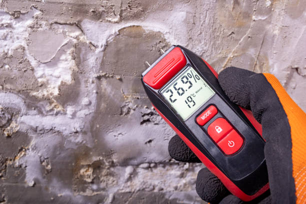 Best Mold Testing  in Tyler, TX
