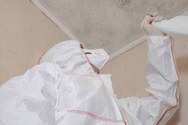 Best Mold Damage Repair  in Tyler, TX